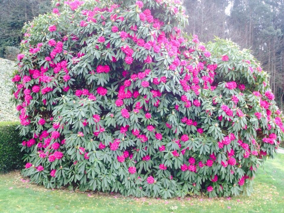 Casa Das Veigas Abegondo Exteriér fotografie